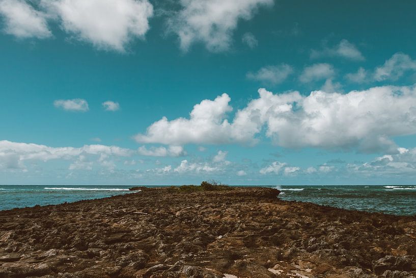 Hawaii by Hello Pompoyo
