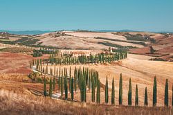 Beautiful Tuscany