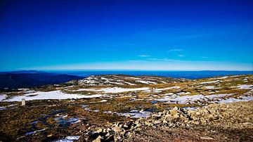 Smeltende sneeuw in het Serra de Estrela gebergte in het voorjaar van Wildlife Designs