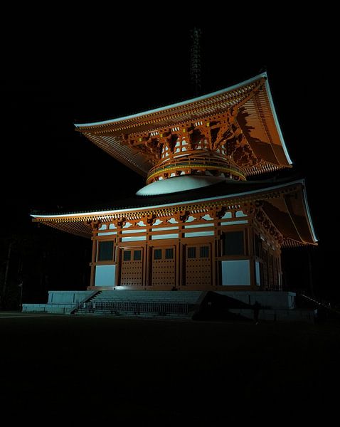 Konpon Daito Pagoda van eric piel