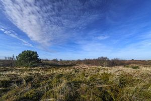 Die Weite des Grünen Strandes
