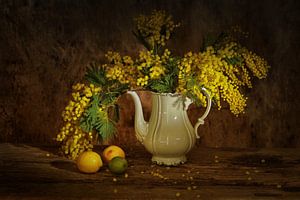 Nature morte avec mon mimosa préféré. sur Saskia Dingemans Awarded Photographer