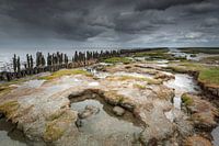 Wadden Sea