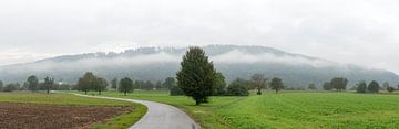 Rheinfelden Baden Württemberg van Richard Wareham