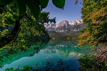 Leaves, bright green lake and rugged mountains by Dafne Vos