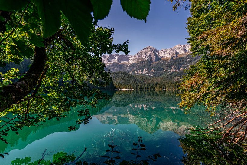 Feuilles, lac d'un vert éclatant et montagnes escarpées par Dafne Vos