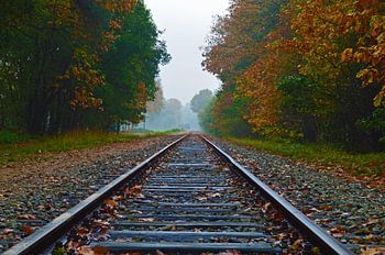 Oud Stoomtrein spoorweg tussen de bossen 