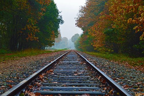 Oud Stoomtrein spoorweg tussen de bossen 
