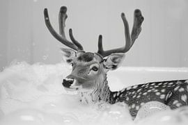 Deer in the bathroom - An enchanting bathroom picture for your WC by Poster Art Shop
