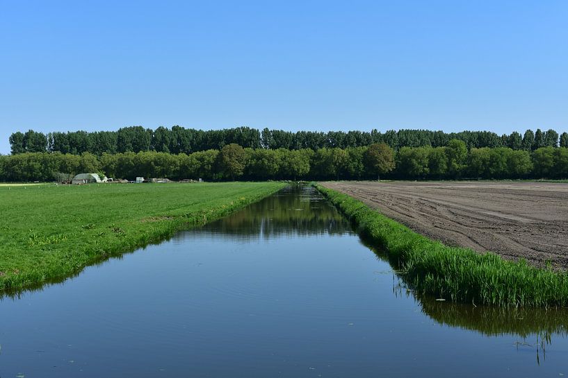 Beautiful quiet waters in the nature of the Netherlands by Highthorn Photography