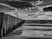 strand palen aan de zeeuwse kust in zwart wit golfbrekers van Groothuizen Foto Art thumbnail