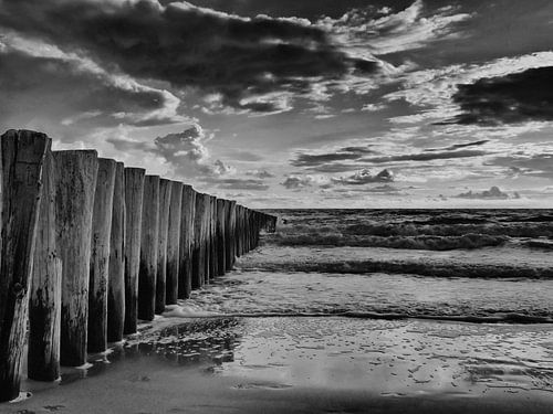 beach poles on the sea coast in black and white breakwaters