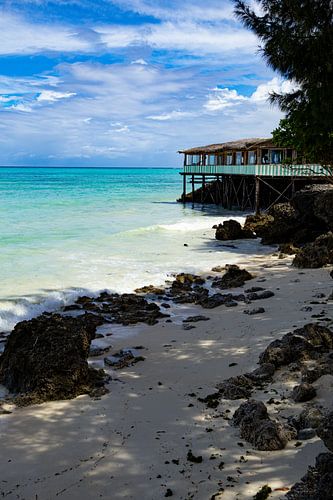 Zanzibar tropical