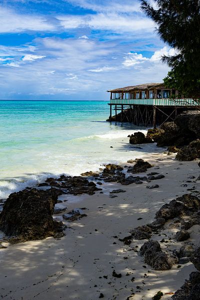 Tropical Zanzibar by Lisette van Leeuwen