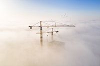 Bouwkranen in de Mist