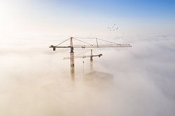 Baukräne im Nebel