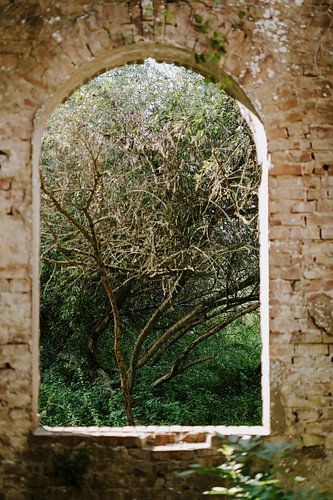 Vista, Ruins, Old Brickworks, the Blue Room, Wageningen, Netherlands, Mediterranean