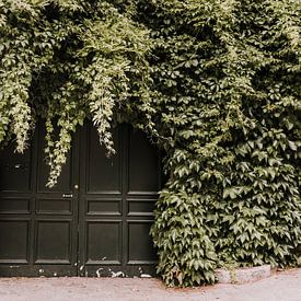 Botanische voordeur | Parijs van Roanna Fotografie