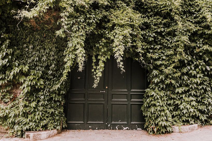Botanical front door | Paris by Roanna Fotografie