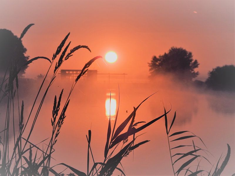 Sunrise by Wieja van der Kamp