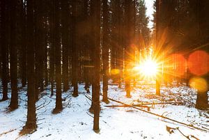 Zonsopkomst in besneeuwd bos (Nederland) van Marcel Kerdijk