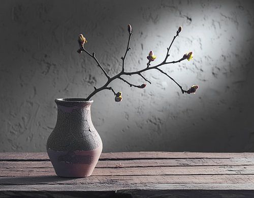 Vintage vaas met tak...