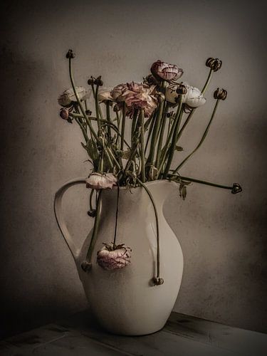 Ranunculus
