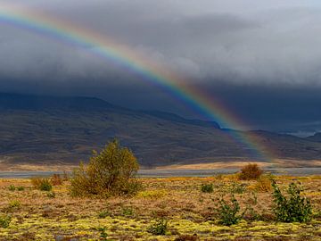 Regenbogen über Þórsmörk
