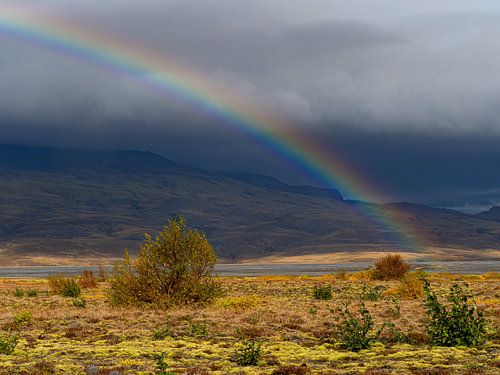 Regenboog over Þórsmörk