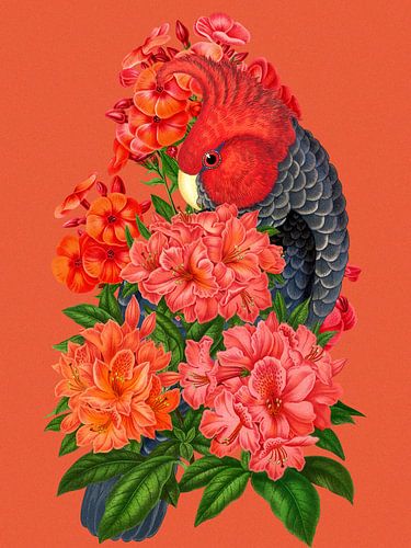 Blossom Blend by Marja van den Hurk