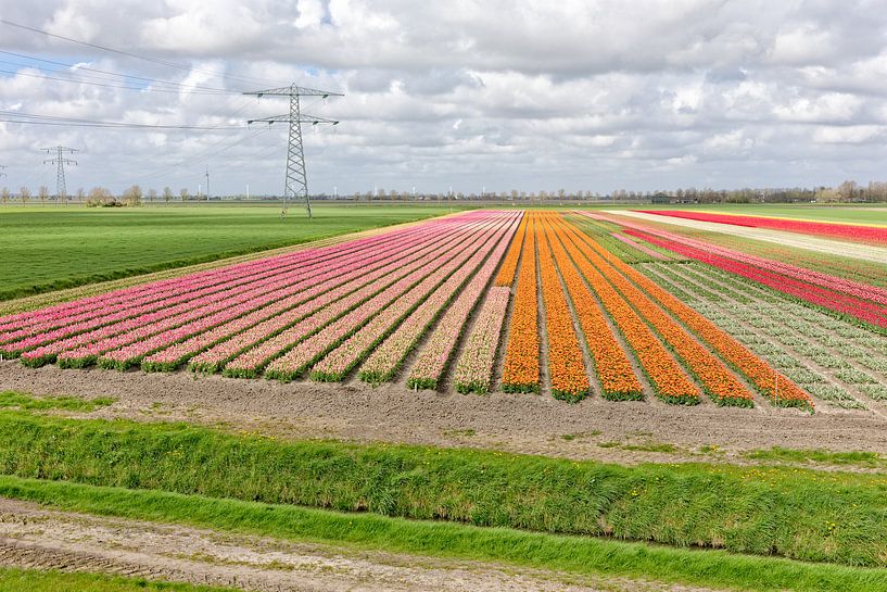 Farbpalette der Felder im Frühjahr von eric van der eijk