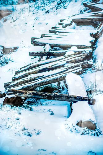 Surrealistische Natuur