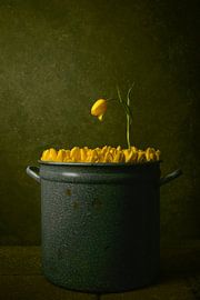 Grow by Rogier Kwikkers