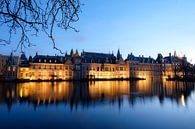 Hofvijver in Den Haag met uitzicht op het Binnenhof van Esther Seijmonsbergen thumbnail
