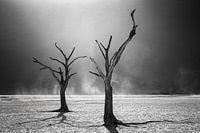 Leben nach dem Tod