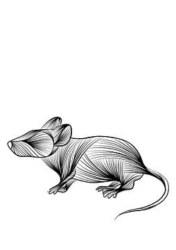 Poster Maus - Streichelzoo - schwarz und weiß von Studio Tosca