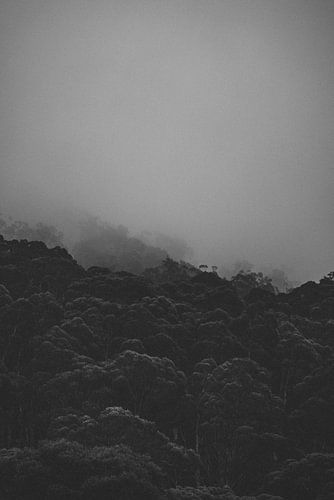 Snowy Mountains: Victoria's Winterwonderland