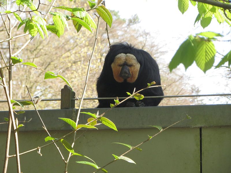 App4 par Danielle Roest