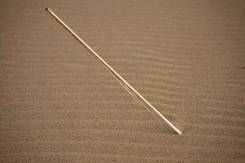 Stock im gewellten Sand