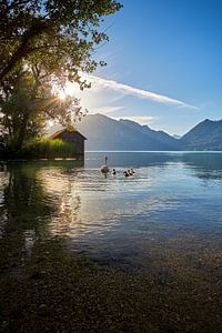 Idylle am See
