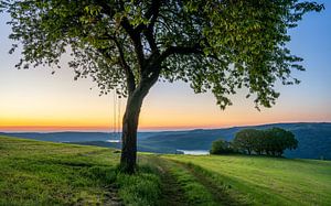 Rursee, Nationalpark Eifel, Nordrhein-Westfalen, Deutschland