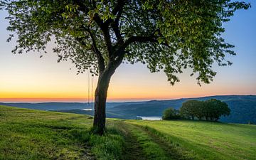 Rursee, Nationaal Park Eifel, Noordrijn-Westfalen, Duitsland van Alexander Ludwig