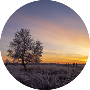 Winterse zonsopkomst in de Regte Heide te Brabant van Johannes Nouwens