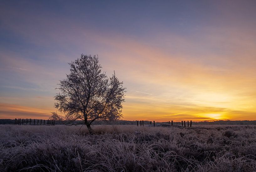 Winter sunrise in the Regte Heide in Brabant by Johannes Nouwens