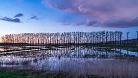 Labbegat, un site Natura 2000 près de Capelle
