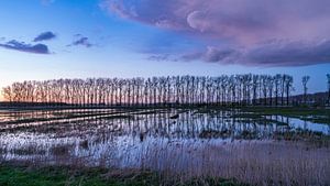 Labbegat, ein Natura 2000-Gebiet in der Nähe von Capelle