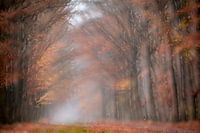 Beschut