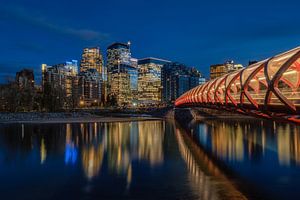 Peace Bridge