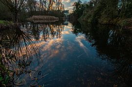 Bloeyendael, Utrecht by Verliefd op Utrecht