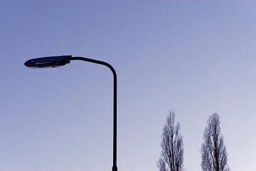 Lantern Silhouette - 2017 van Timmy Bouwmann